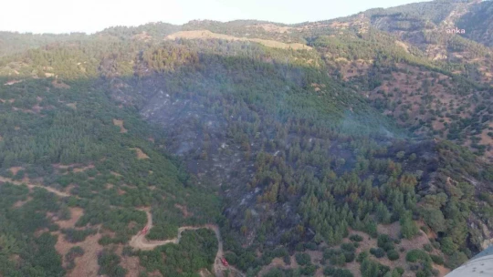 Nazilli Belediye Başkanı Tetik'ten yangın uyarısı