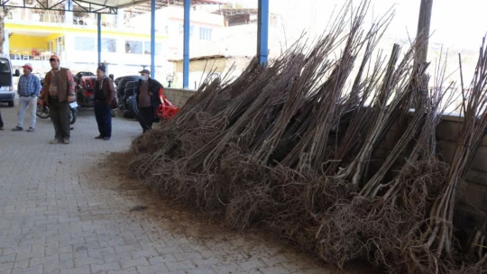 Nazilli Belediyesi, çiftçinin yanında