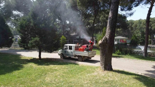 Nazilli Belediyesi ilaçlama çalışmalarına devam ediyor