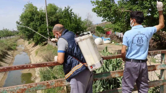 Nazilli Belediyesi ilaçlama çalışmalarına devam ediyor