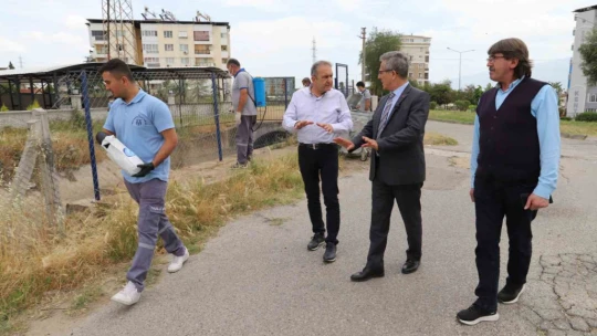 Nazilli Belediyesi ilaçlama çalışmalarına devam ediyor