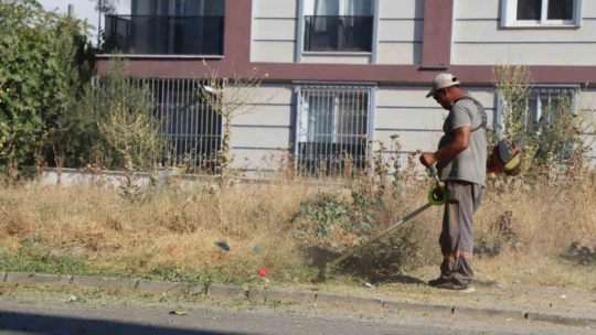 Nazilli Belediyesi İsabeyli'ye el attı