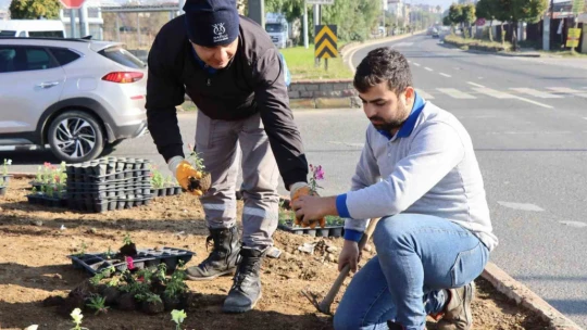 Nazilli Belediyesi karayolu üzerinde peyzaj çalışması başlattı