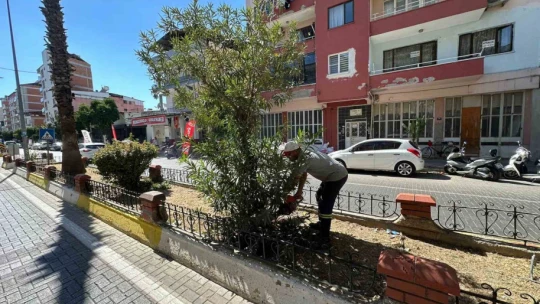 Nazilli Belediyesi kış hazırlıklarına hızla devam ediyor