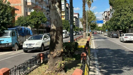Nazilli Belediyesi kış hazırlıklarına hızla devam ediyor