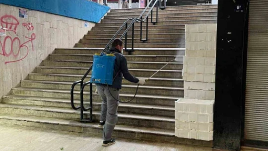 Nazilli Belediyesi'nden 12 ay boyunca larva mücadelesi