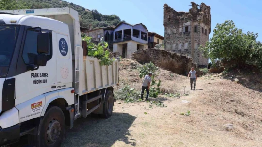 Nazilli Belediyesi'nden Arpaz Kalesi'nde temizlik çalışması