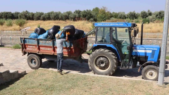 Nazilli Belediyesi'nden Dallıca Çayı'nda kapsamlı çalışma
