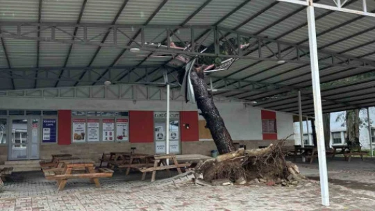Nazilli Belediyesi'nden eş zamanlı müdahale