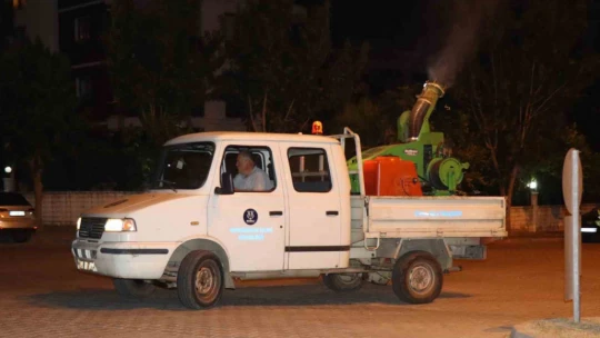 Nazilli Belediyesi'nden haşere ile etkin mücadele