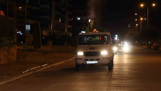 Nazilli Belediyesi'nden haşere ile etkin mücadele