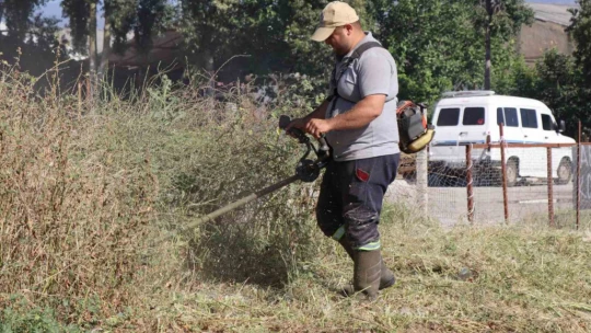 Nazilli Belediyesi'nden hayvan pazarında temizlik seferberliği