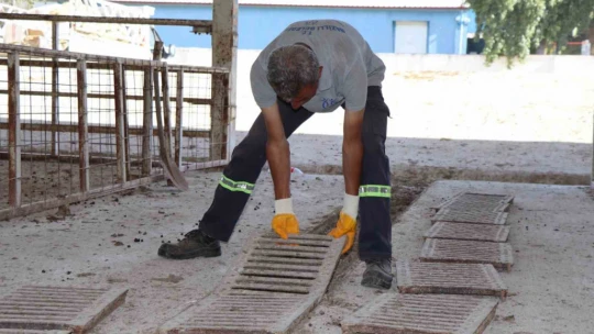 Nazilli Belediyesi'nden hayvan pazarında temizlik seferberliği
