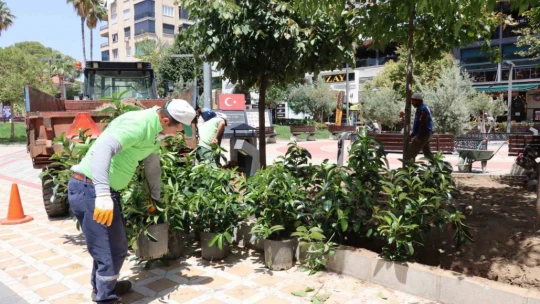 Nazilli Belediyesi'nden meydanda temizlik ve bakım çalışması