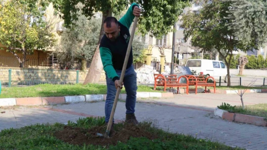 Nazilli Belediyesi'nden parklarda bakım ve ağaç dikim çalışması