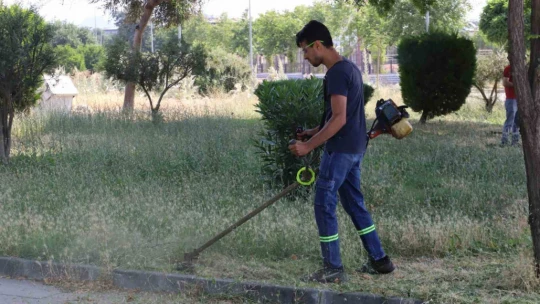 Nazilli Belediyesi'nden uygulamalı mülakat