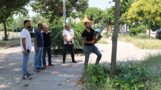 Nazilli Belediyesi'nden uygulamalı mülakat