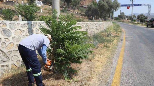 Nazilli Belediyesi'nin çalışmalarıyla Kestel pırıl pırıl