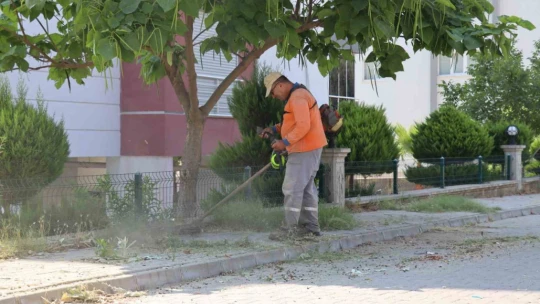 Nazilli Belediyesi Pınarbaşı Mahallesi'nde temizlik çalışması başlattı