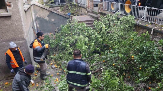 Nazilli Belediyesi talepleri kısa sürede yerine getiriyor