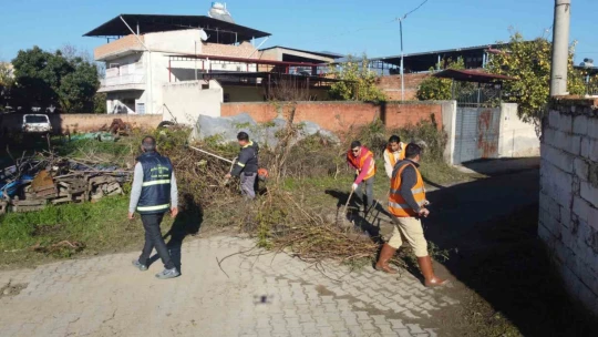 Nazilli Belediyesi Temizli İşleri Müdürlüğü çalışmalarını sürdürüyor