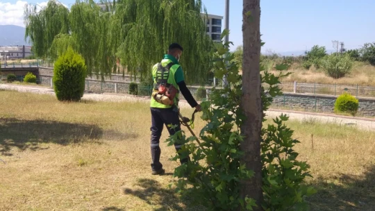 Nazilli Belediyesi, yeşil alanları bakıma aldı