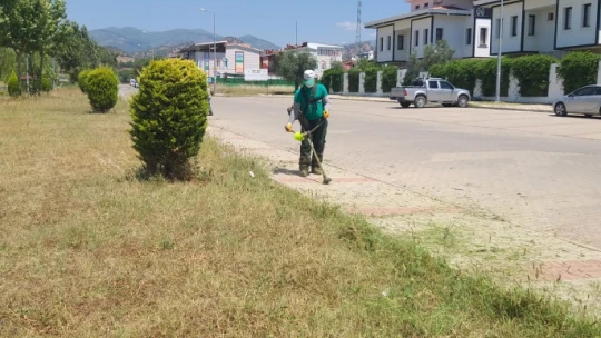 Nazilli Belediyesi, yeşil alanları bakıma aldı