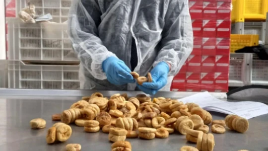 Nazilli'de 19 bin 472 ton tarımsal ürünün ihracat kontrolü yapıldı