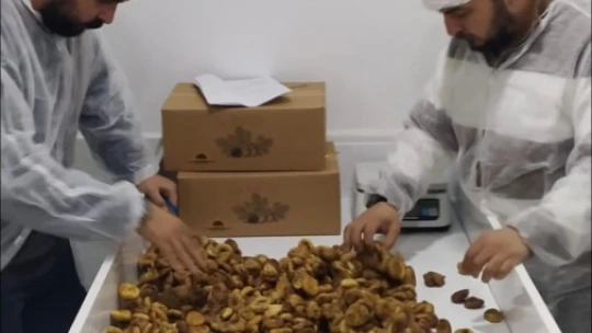 Nazilli'de 19 bin 472 ton tarımsal ürünün ihracat kontrolü yapıldı