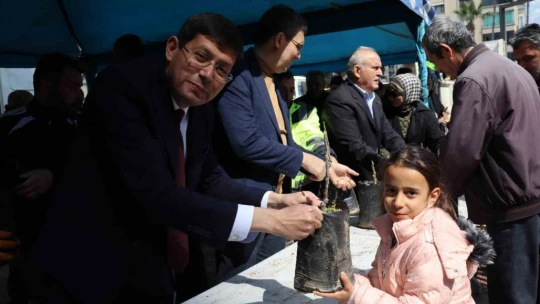 Nazilli'de 20 bin incir fidanı dağıtıldı