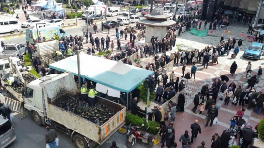 Nazilli'de 20 bin incir fidanı dağıtıldı