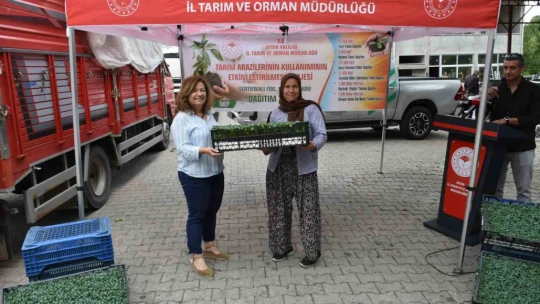 Nazilli'de 45 bin fide dağıtıldı