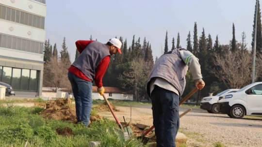 Nazilli'de beklenen yol çalışması başladı