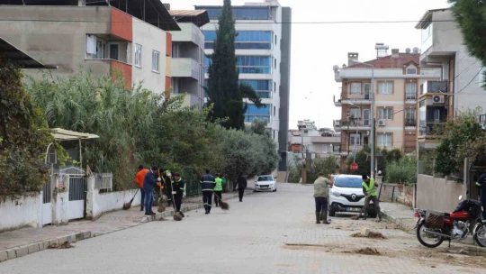Nazilli'de Belediyesi'nden kış temizliği