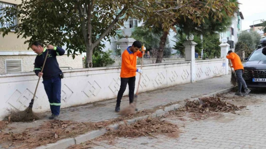 Nazilli'de Belediyesi'nden kış temizliği