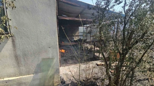 Nazilli'de bir yangın daha çıktı