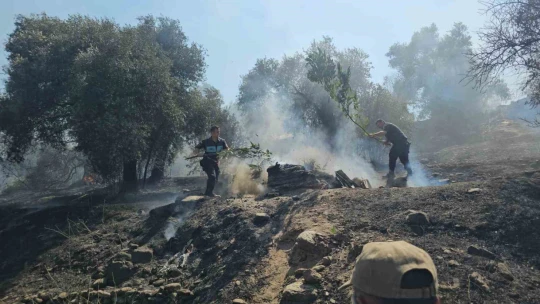 Nazilli'de bir yangın daha çıktı