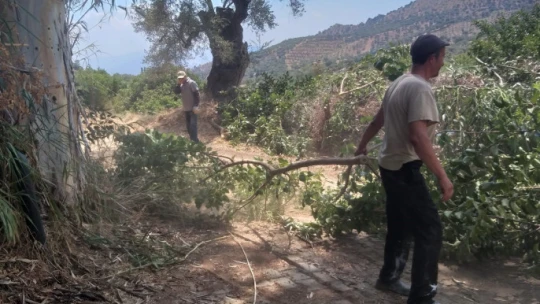 Nazilli'de çevre temizlik çalışmaları sürüyor