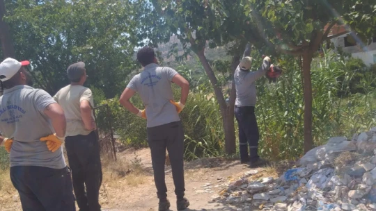 Nazilli'de çevre temizlik çalışmaları sürüyor