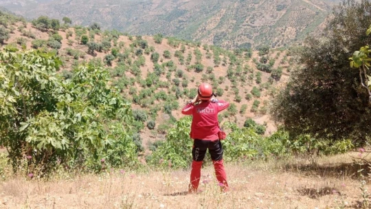 Nazilli'de dağ tepe aranıyor, bir iz yok