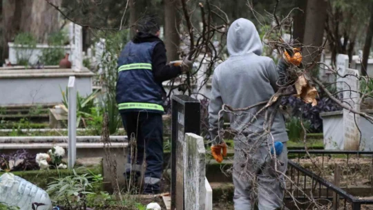 Nazilli'de devrilen ağaçlar yakacak olarak kullanılacak