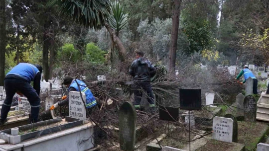 Nazilli'de devrilen ağaçlar yakacak olarak kullanılacak