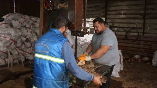 Nazilli'de devrilen ağaçlar yakacak olarak kullanılacak