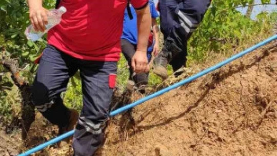 Nazilli'de kaybolan şahsı arama çalışmaları sürüyor