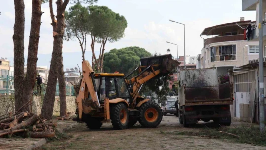Nazilli'de kış hazırlıkları devam ediyor