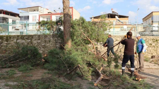 Nazilli'de kış hazırlıkları devam ediyor