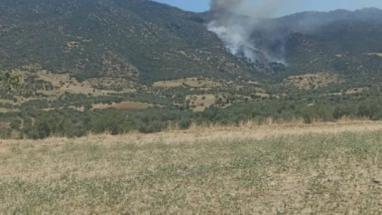 Nazilli'de makilik yangınını söndürme çalışmaları devam ediyor