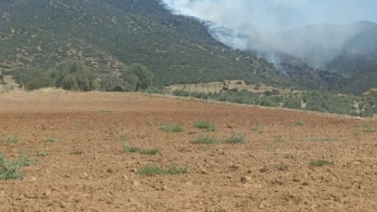 Nazilli'de makilik yangınını söndürme çalışmaları devam ediyor