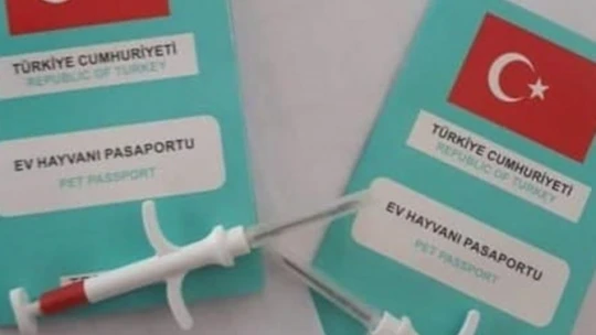 Nazilli'de sahipli kedi ve köpeklerin kayıt işlemleri sürüyor