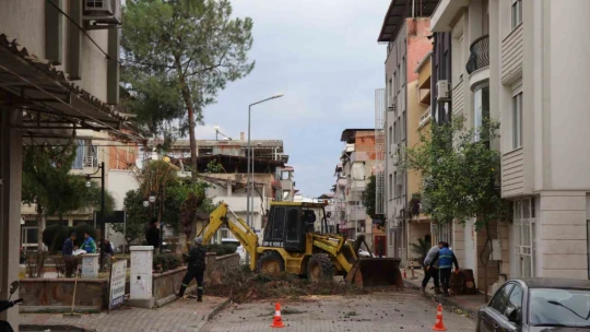 Nazilli'de tehlike oluşturan çam ağacı kaldırıldı